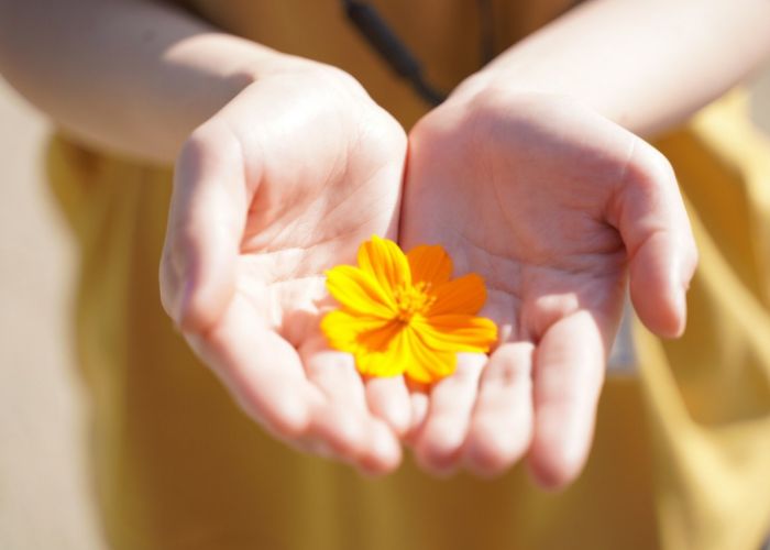 手のクローズアップの参考例